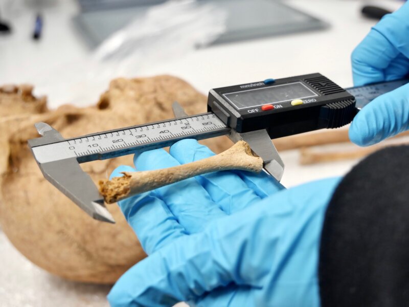 El descubrimiento de restos infantiles en las excavaciones plantea la posibilidad de que se trate de la primera población mestiza de Canarias