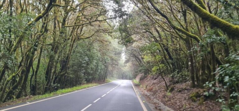 El paso de la DANA por Canarias en imágenes