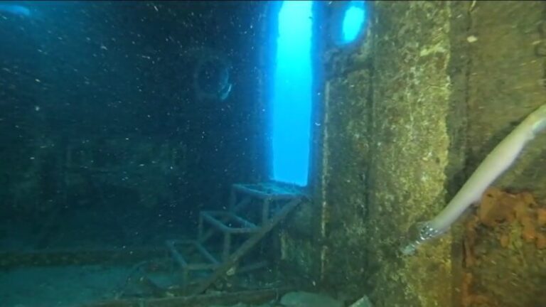 ‘Noche de reportajes’ explora los pecios de barcos hundidos en aguas canarias