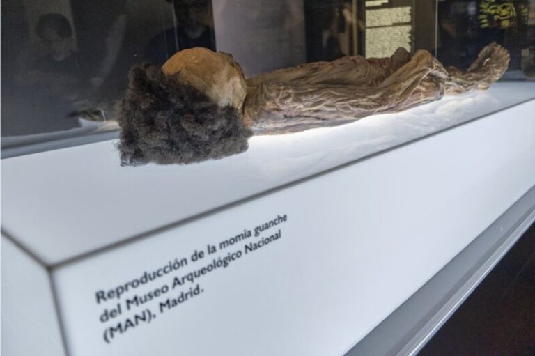 Tenerife vuelve a reclamar el regreso de la momia guanche de Erques