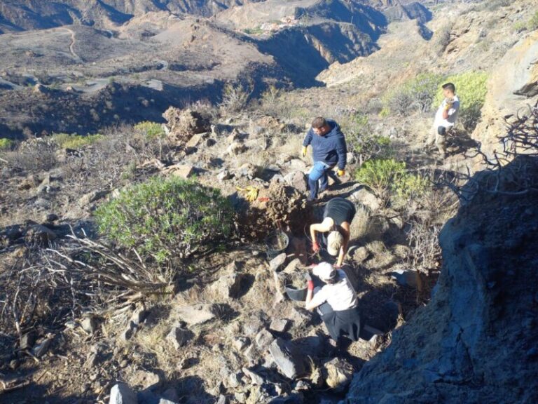 Buscan nuevas evidencias sobre la evolución de la sociedad aborigen en el yacimiento del Bentayga 