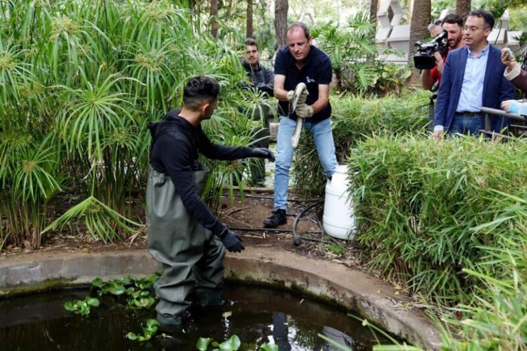 Sueltan ocho anguilas en el Parque García Sanabria para erradicar los cangrejos de río