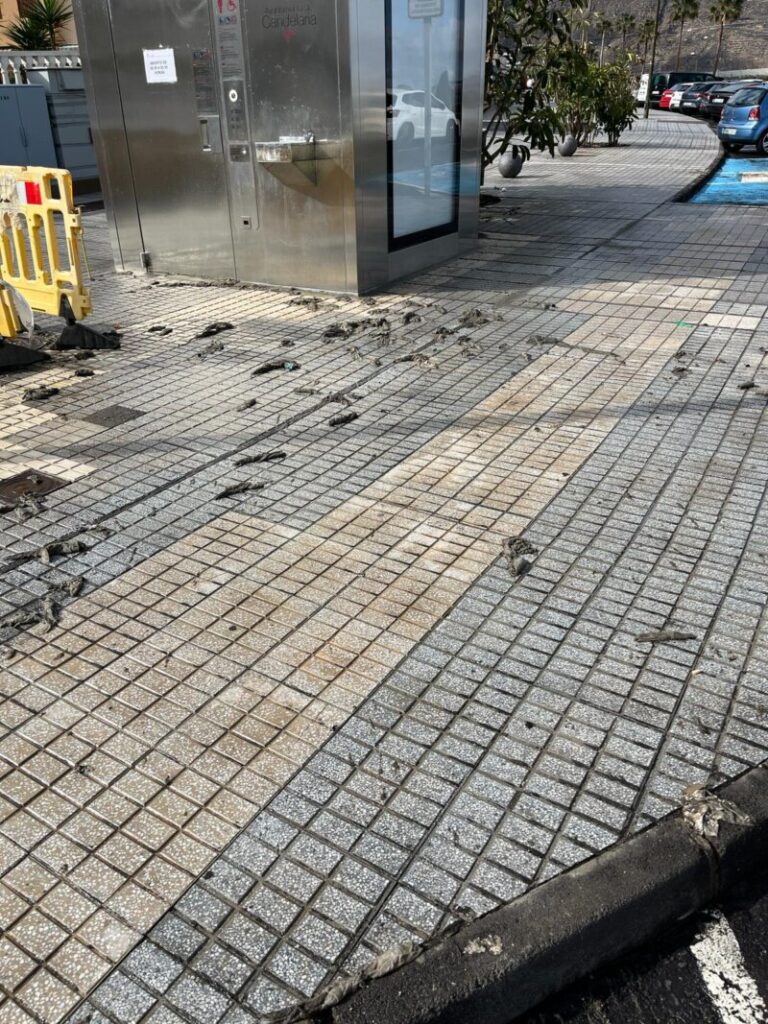 basura_denuncia_ayuntamiento_candelaria_tras_lluvias