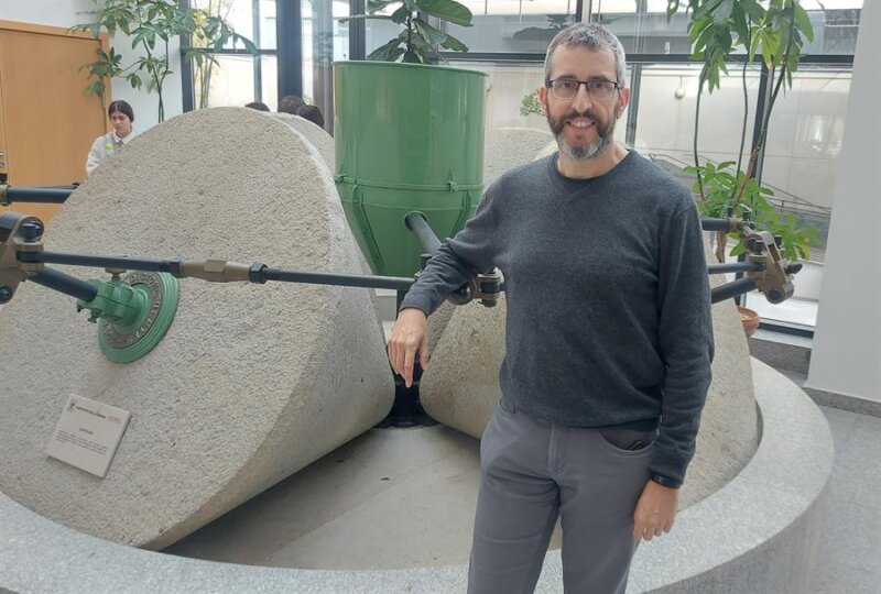 Un ácido de las hojas del olivo, clave para tratar la diabetes y el alzhéimer