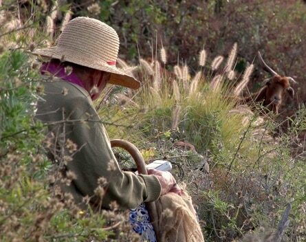 Logros y desafíos de las mujeres rurales
