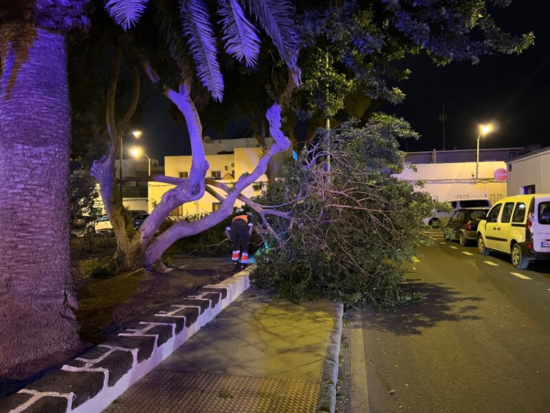 Caída de rama en Arrecife