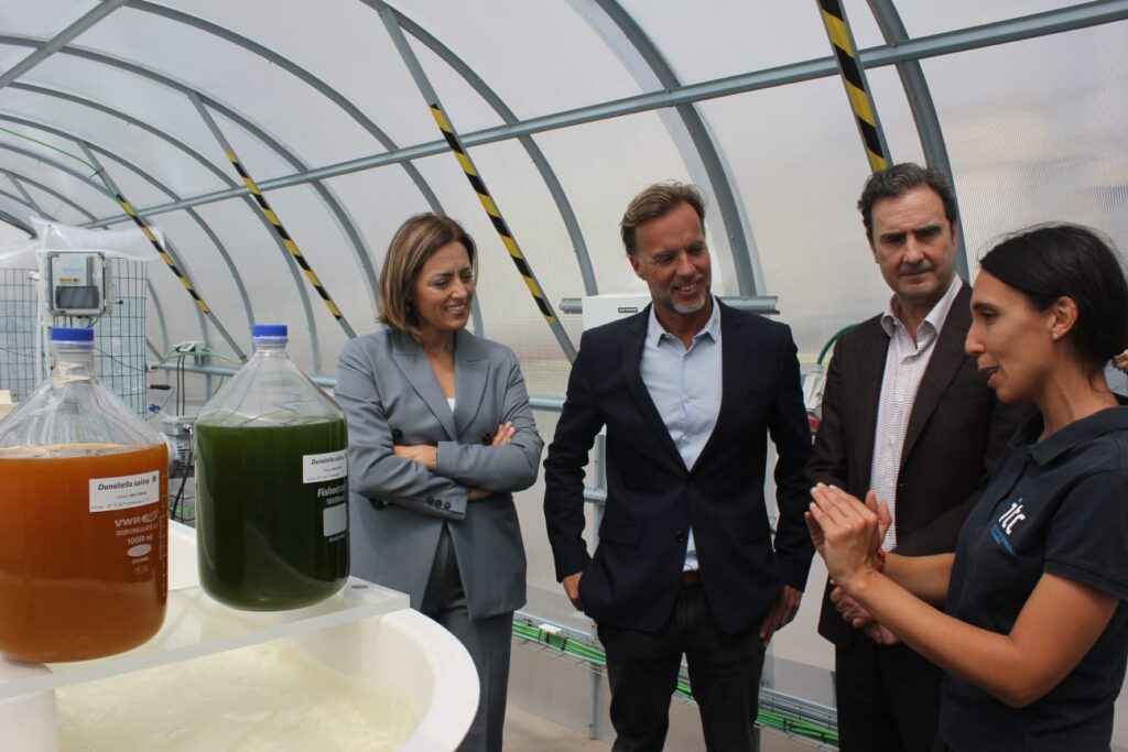 El ITC y Endesa trabajan en un proyecto pionero con microalgas en la Central de Tirajana