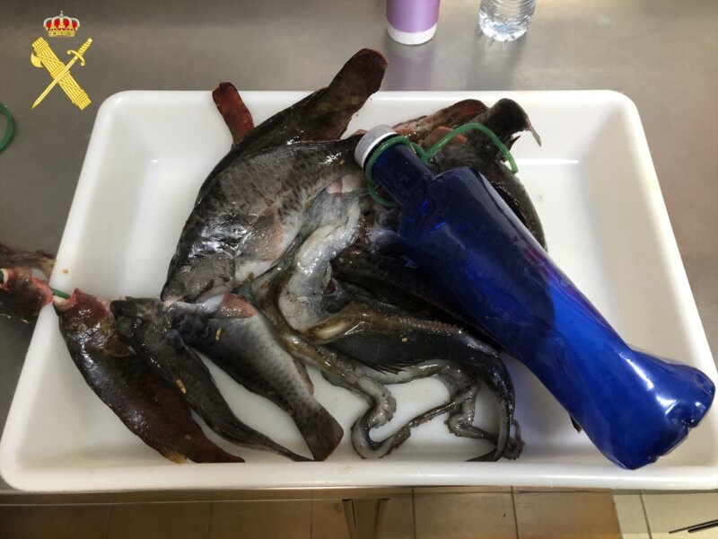 Pillado in fraganti cuando realizaba pesca submarina con un fusil en Tenerife