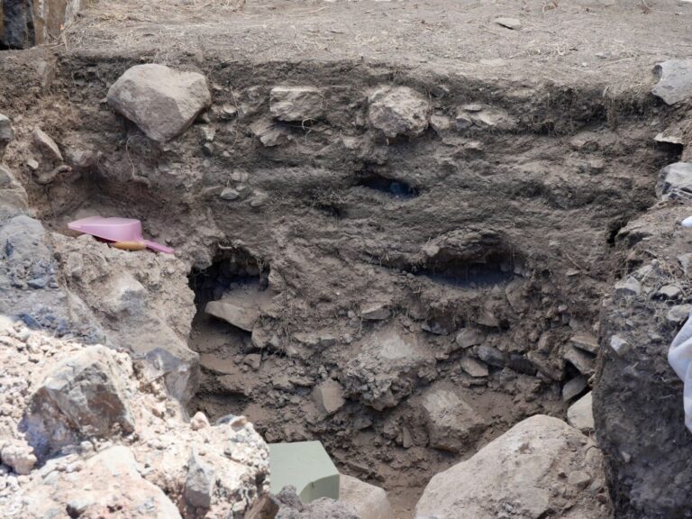 Las excavaciones arqueológicas en Alojera ofrecen información sobre la época aborigen