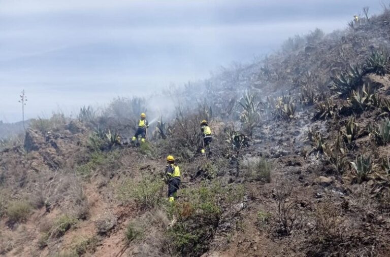 Estabilizan un conato de incendio en Tejeda