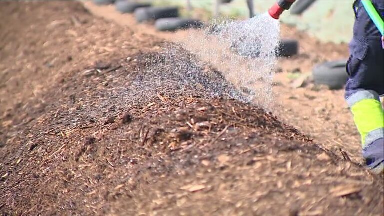 Compost con certificación del Ministerio hecho en Canarias