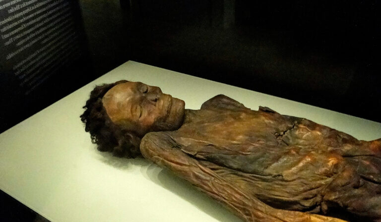 La violencia en la Conquista de Canarias, en ‘Episodios Insulares’