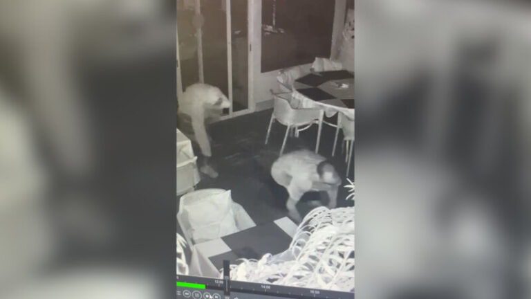 Dos detenidos acusados de siete robos con fuerza en comercios de San Miguel de Abona, Tenerife