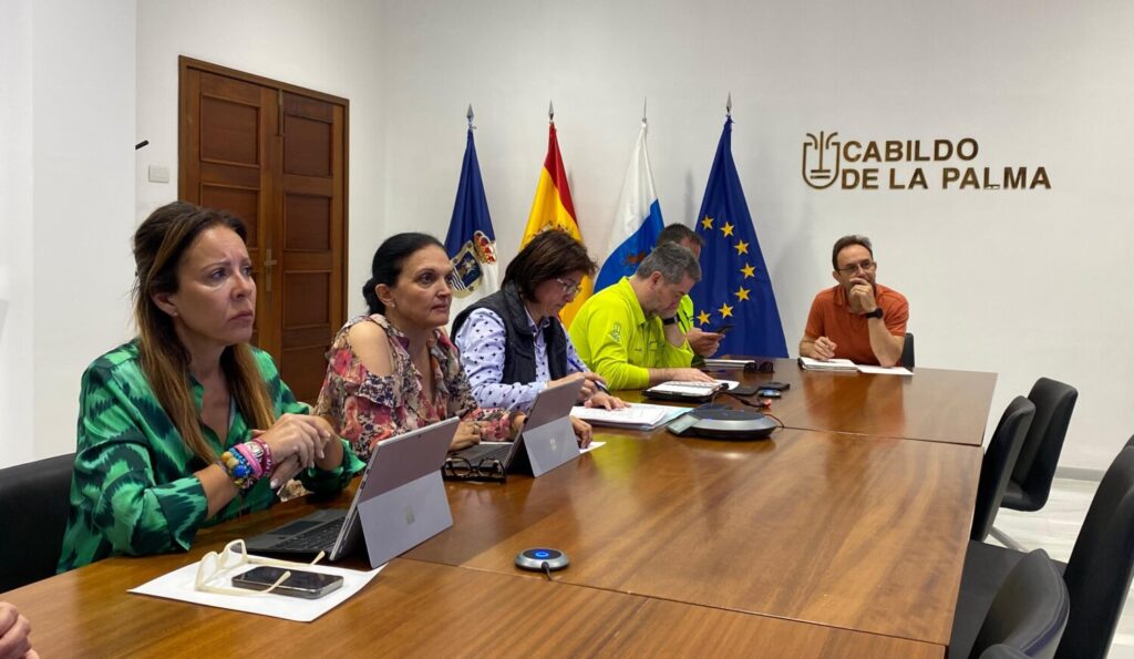 El Peinpal autoriza el acceso a 100 nuevas viviendas en Puerto Naos. Imagen Cabildo de La Palma