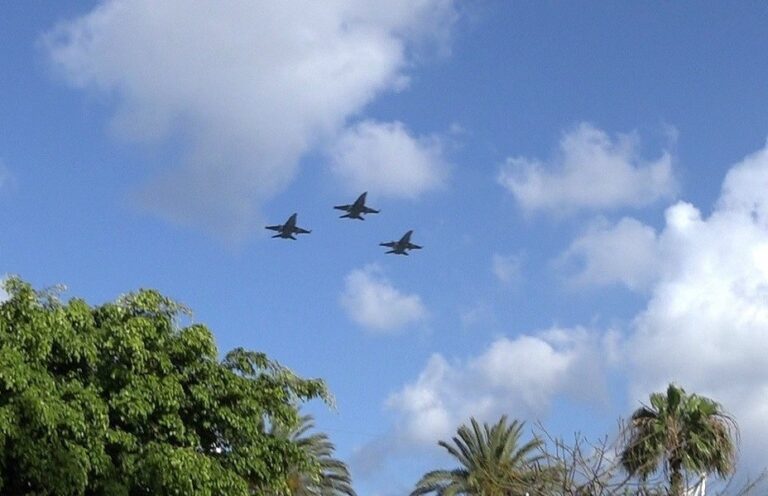 Día de las Fuerzas Armadas en Santa Cruz de Tenerife