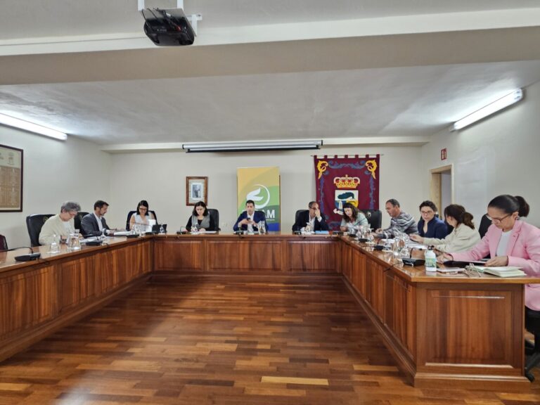 Los ayuntamientos herreños constituyen la Comisión Insular de la FECAM