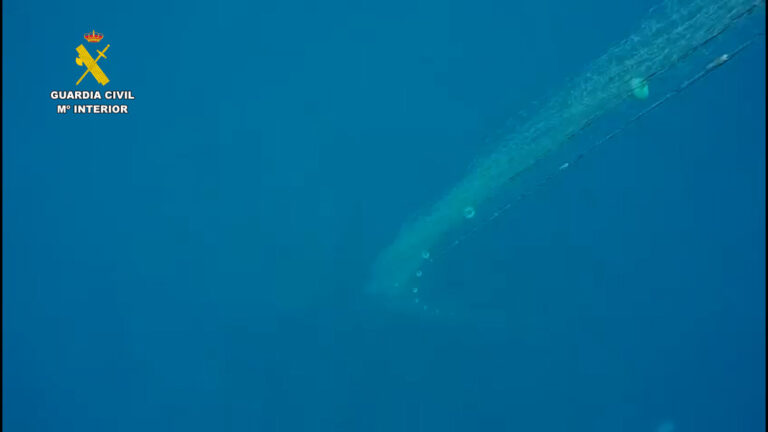 Retiran del mar 400 metros de redes colocadas ilegalmente en La Palma con 17 kilos de pescado