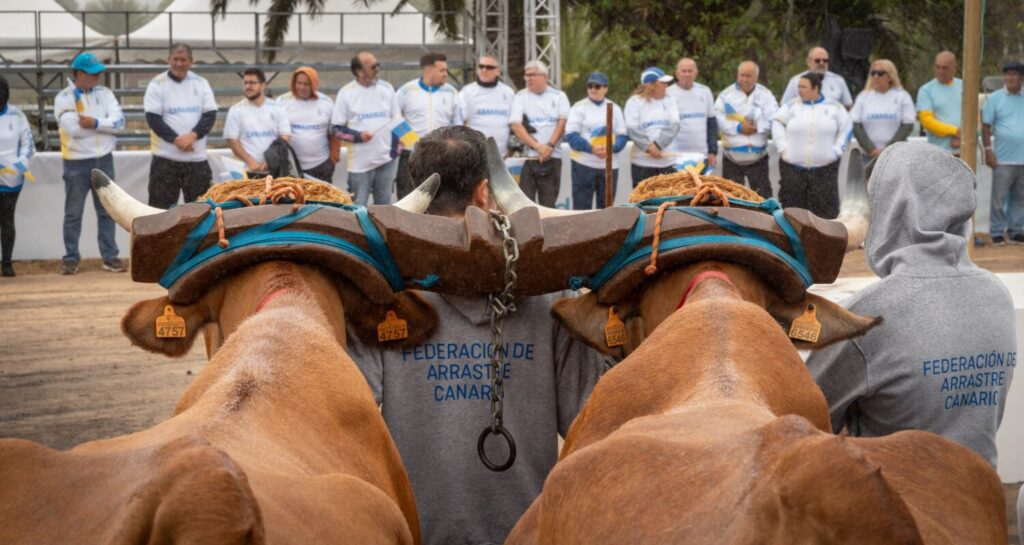 Inauguración de la Semana Canaria de Deportes Autóctonos. Imagen Gobierno de Canarias