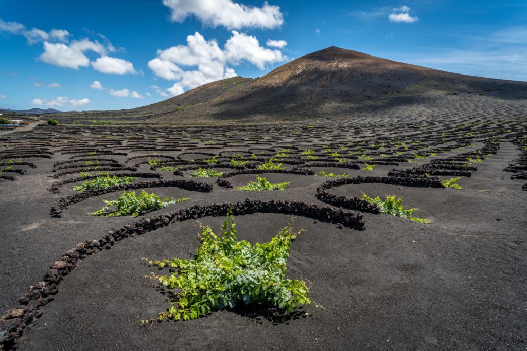 Mencionada área donde acudieron los influencers se encuentra dentro del espacio natural protegido de La Geria y es una zona especial de protección para las aves