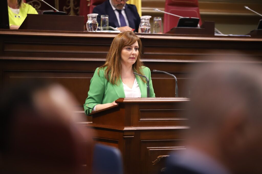 El Gobierno de Canarias activa el protocolo de violencia machista en cuatro ocasiones en su primer año de funcionamiento. Imagen de archivo de la consejera de Presidencia, Nieves Lady Barreto, en su comparecencia parlamentaria.