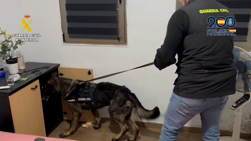 En la imagen, un momento del registro que llevaron a cabo los agentes en los domicilios de los detenidos.