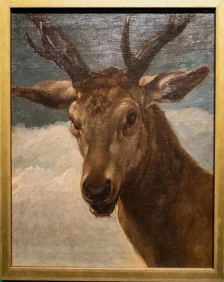 ‘Canarias es cultura’ se adentra este domingo en la obra de Velázquez ‘Cabeza de venado’