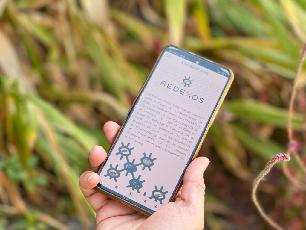 El maratón europeo se celebra este domingo a las 11.00 horas y tendrá una duración aproximada de dos horas