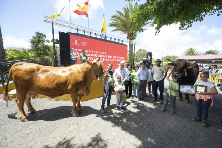 La Feria insular de Ganado de Gran Canaria reúne a más de 45.000 visitantes