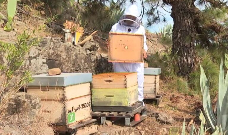 Productos a base de miel con esencia de La Gomera