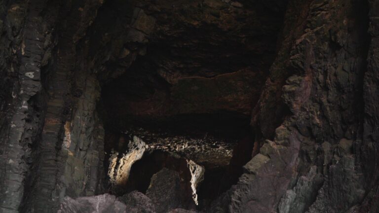 ‘Rincones isleños’ descubre los tesoros paleontológicos de Canarias