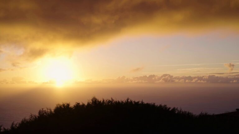 Sabinares canarios y rincones isleños