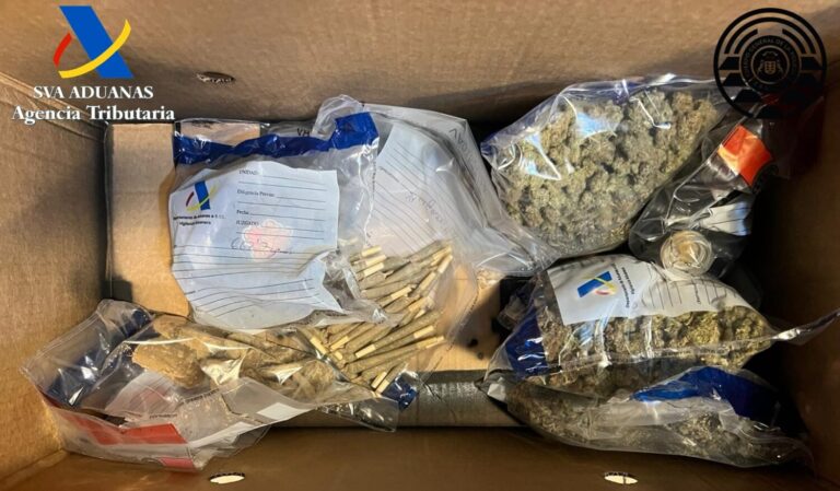 Desmantelan un club cannábico en Las Palmas de Gran Canaria