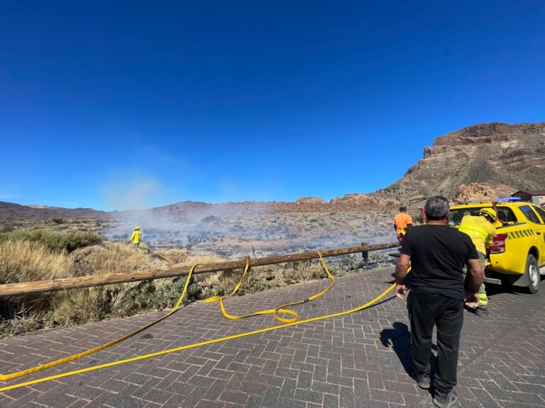 Estabilizado un pequeño conato en el Parque Nacional del Teide