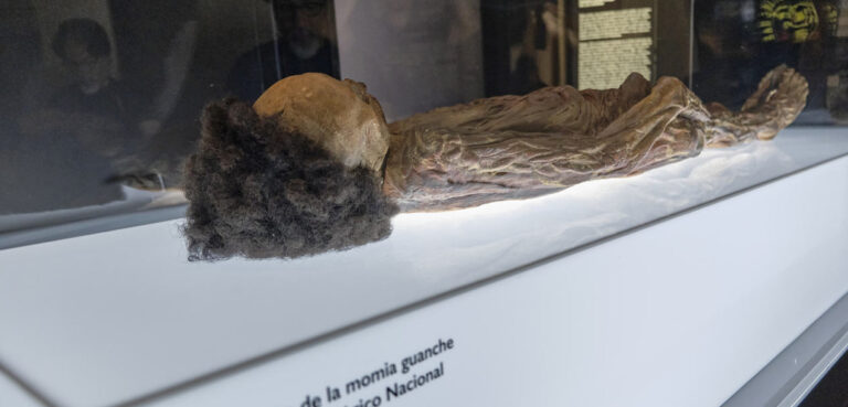 Tamaimos exige que la momia de Erques no sea expuesta a su vuelta a Canarias