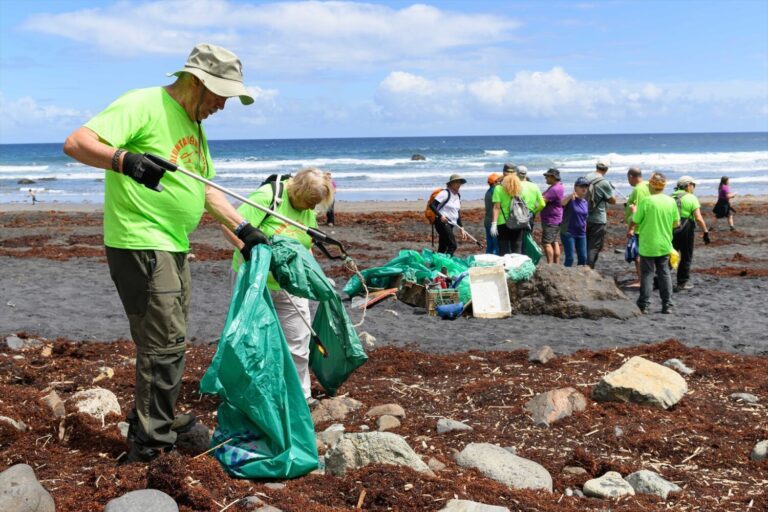 El Cabildo impulsa el voluntariado ambiental en varios municipios de Tenerife