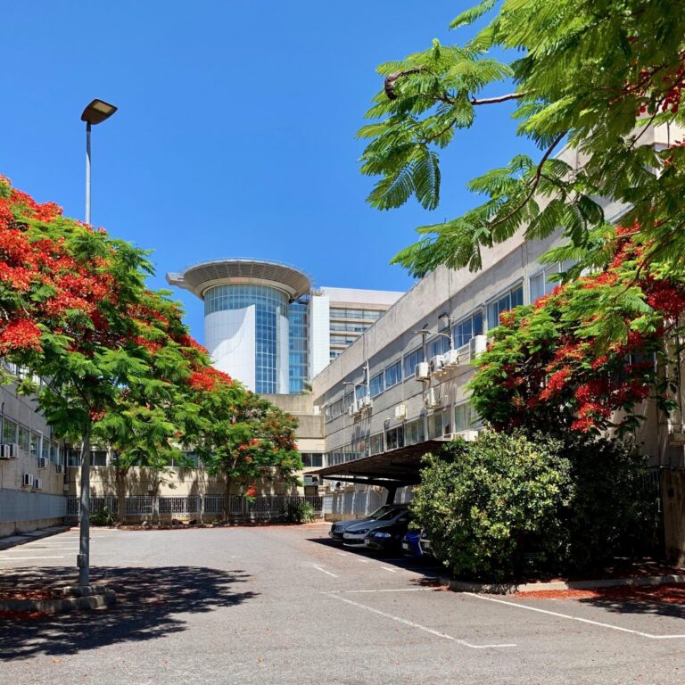 Denuncian la falta de profesorado en Medicina de la ULL