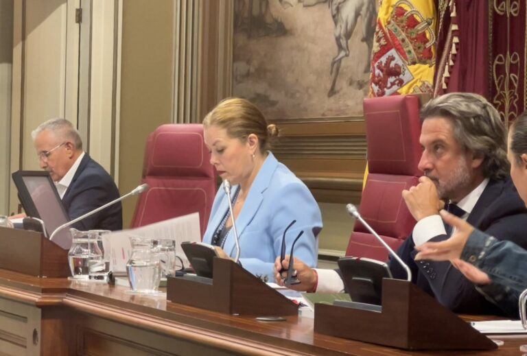 Pleno del Parlamento: Domínguez no da por hecho un acuerdo sobre la Ley de Extranjería 