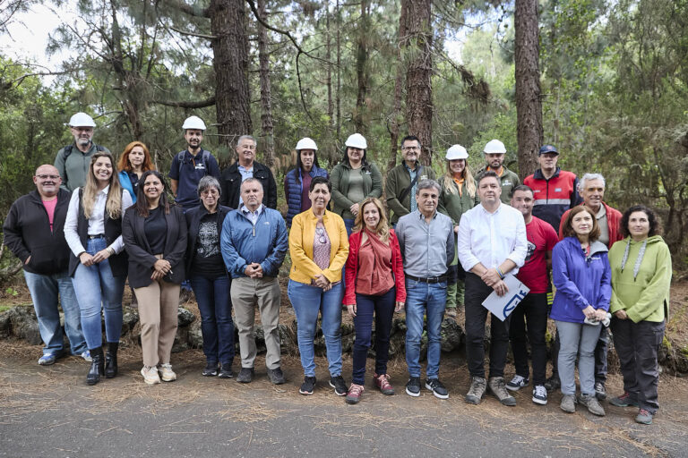 El Cabildo de Tenerife pone en marcha el Plan de Medianías para prevenir incendios forestales