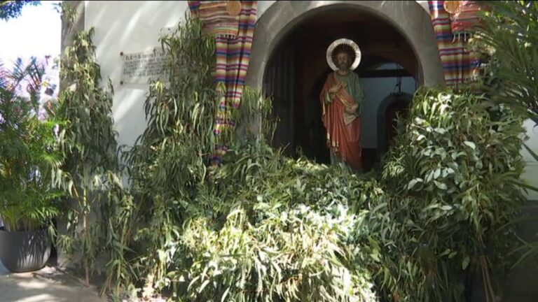 El Valle de Agaete se viste de fiesta con la tradicional Bajada de la Rama