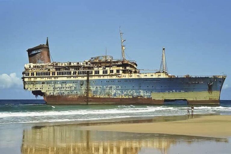 La historia del American Star llega al cine