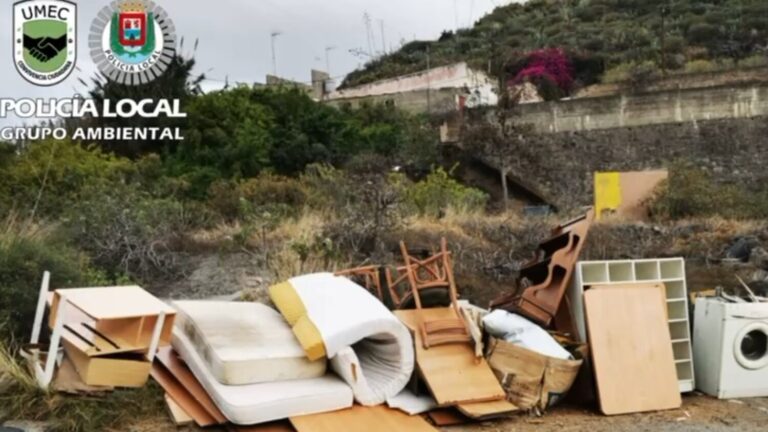 Denuncian al autor de un macrovertido en el barranco de Guiniguada