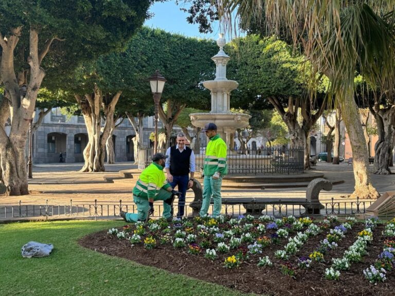 La Laguna incrementa su masa de Bosque Urbano en los distintos distritos