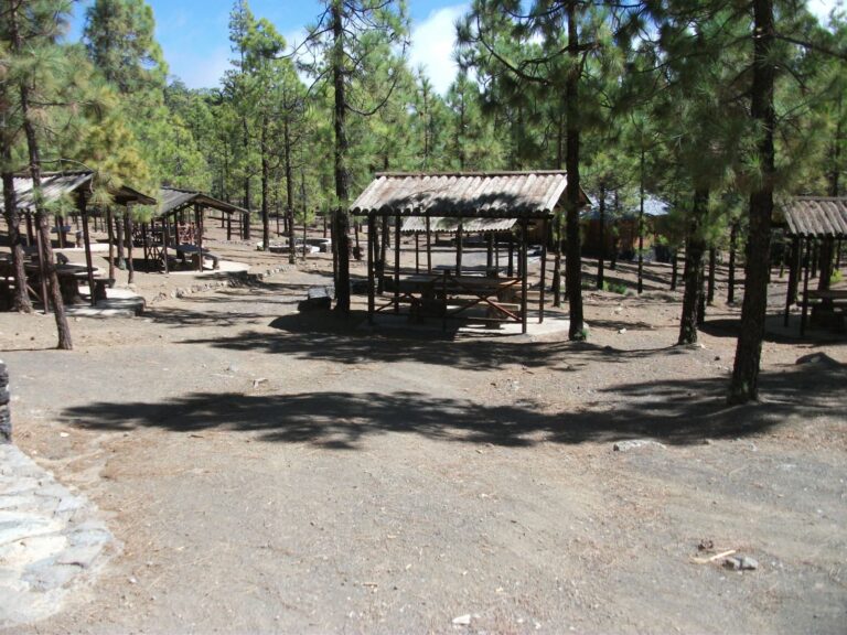 Acaba la alerta por riesgo de incendios forestales en Canarias y pasa a prealerta