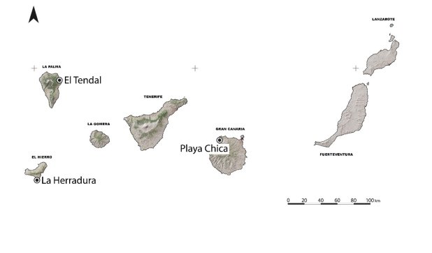 Los bereberes llegaron a Canarias como colonos, poco después de Roma 