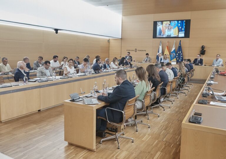 El Cabildo de Tenerife pide al Estado la regulación de la energía geotérmica