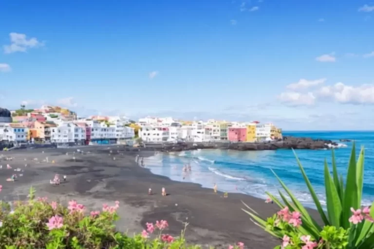 Presencia de la bacteria E.coli en el entorno del litoral de Punta Brava en Tenerife
