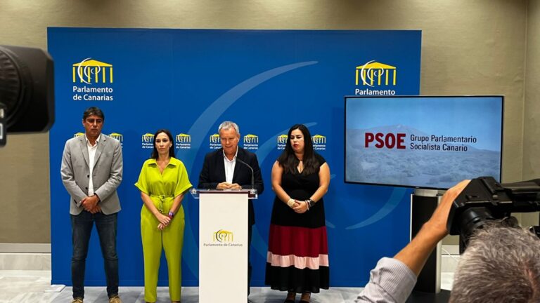 Franquis: “Este primer año de gobierno ha sido un año perdido para Canarias”