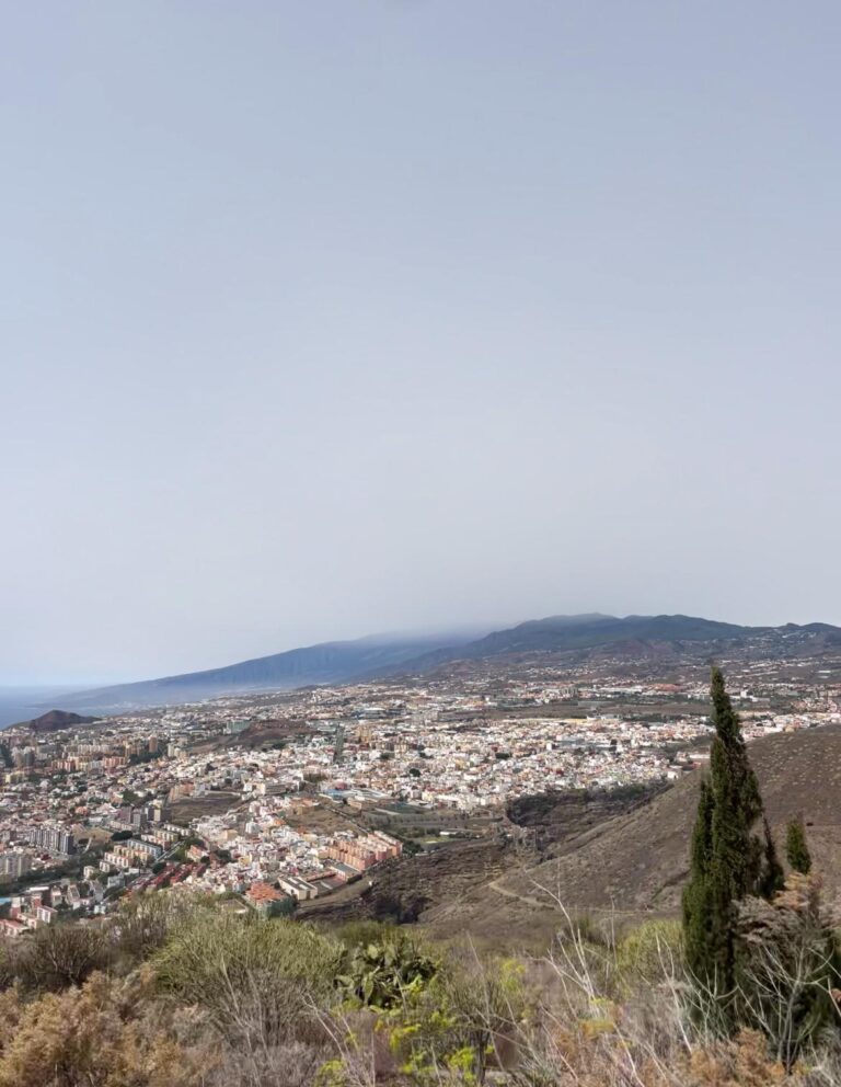 Las islas occidentales y Gran Canaria se mantienen en alerta por riesgo de incendio forestal