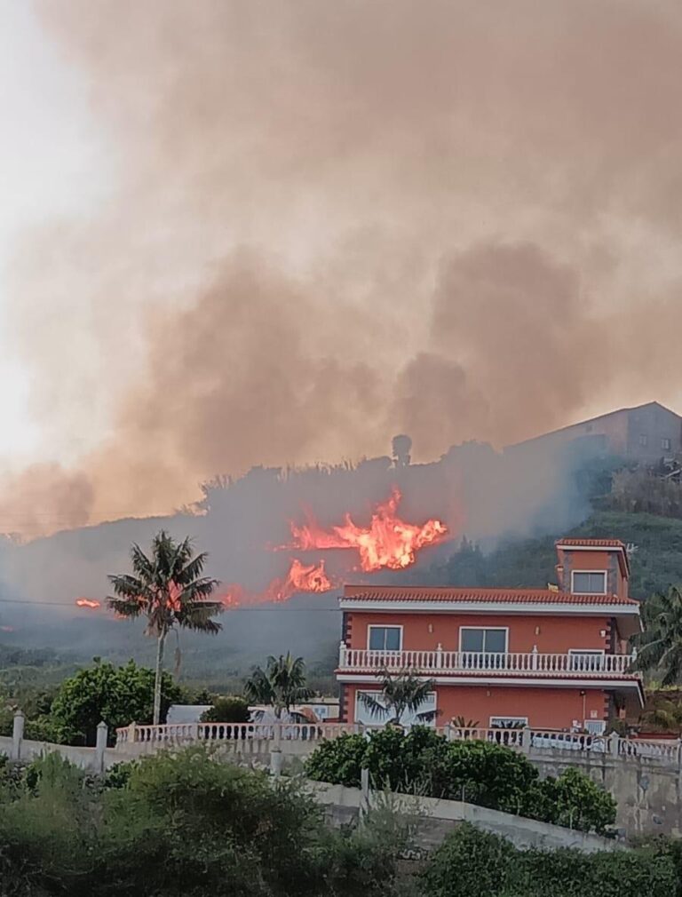 Controlado el conato de incendio forestal de Los Realejos