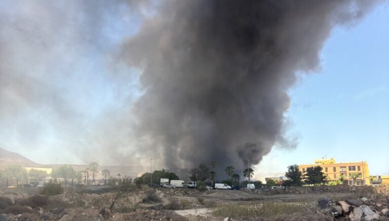 Controlado el incendio en Las Chafiras, en el sur de Tenerife